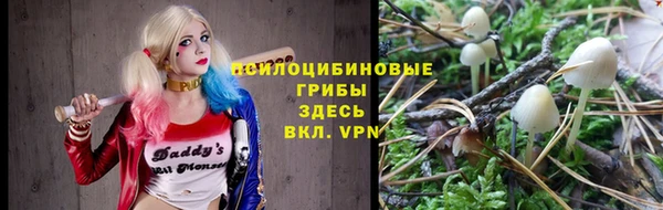 PSILOCYBIN Баксан