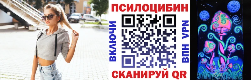 закладки  Маркс  mega ссылки  Псилоцибиновые грибы мицелий 